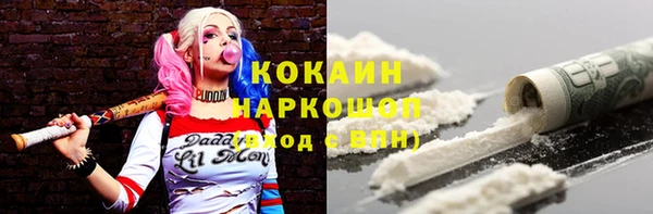 индика Белоозёрский