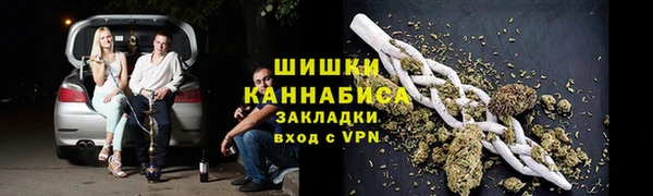 индика Белоозёрский