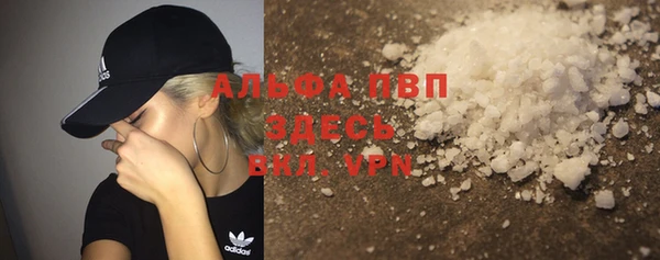 индика Белоозёрский