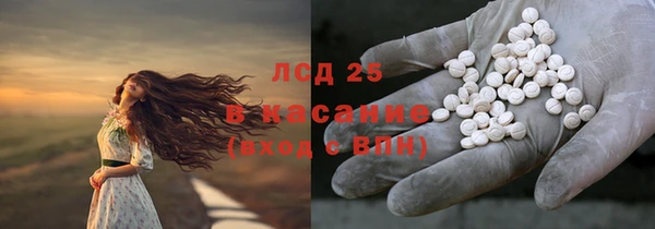 первитин Богданович