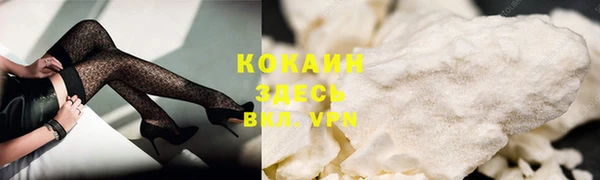 первитин Богданович